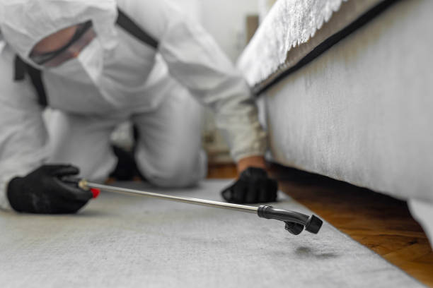 Professional Wasp Control technician working in La Cienega, NM