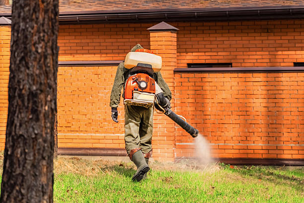 Trusted Termite Control service in La Cienega, NM - Nex Pest Control